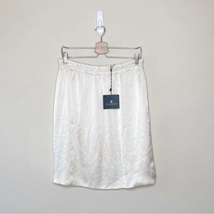 Lanvin Silk Skirt
